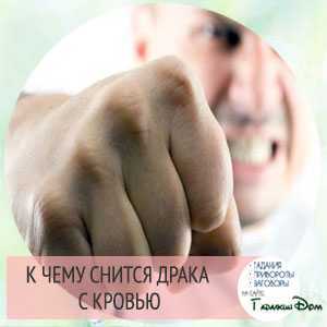 К чему снится драка с мужчиной, женщиной: толкования сонников