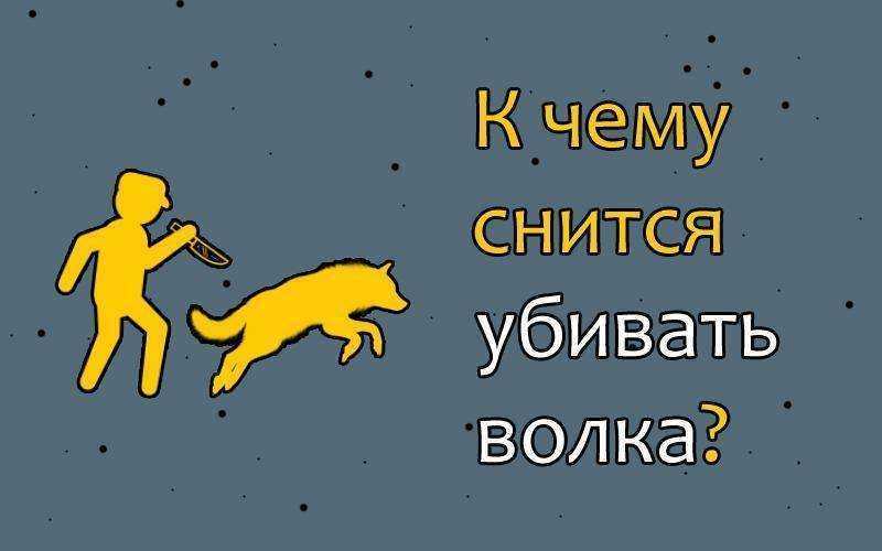 К чему снится волк во сне для женщины