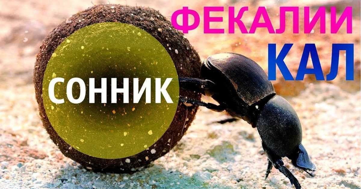 К чему снится обкаканный ребенок 👶 40 толкований сна ❗ по сонникам, в которых младенец обкакался, приснилось, что маленький мальчик или девочка накакала в штаны