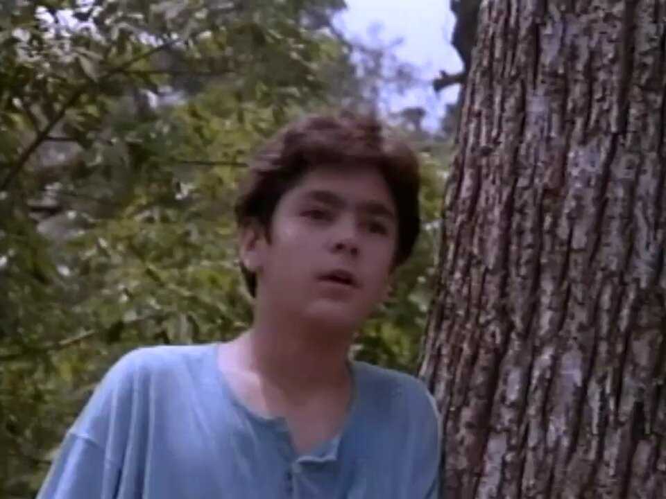 Видеть тебя во сне (1992)