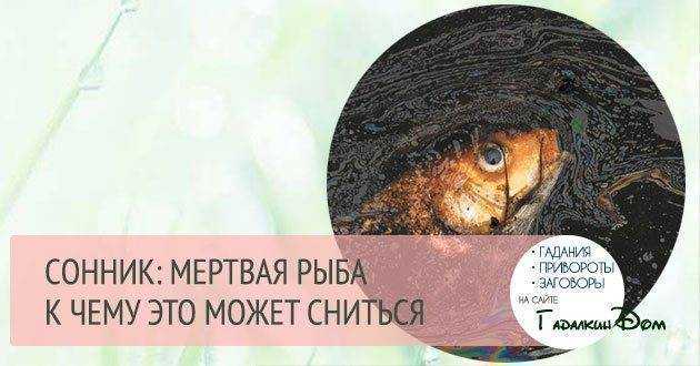 Обычно у людей образ рыбы во сне ассоциируется с пополнением в семействе, денежной прибылью И все же, бывают моменты, когда он сулит нечто неприятное