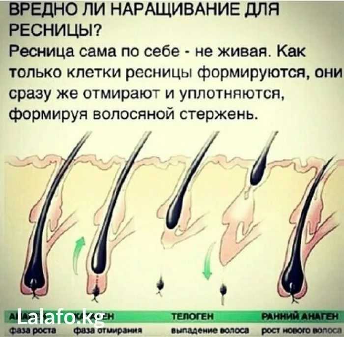 К чему по соннику снятся ресницы