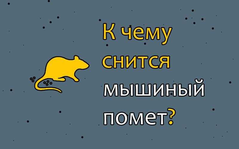 К чему снятся мыши во сне: большие, маленькие, когда их много, убегающие