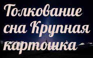 Сажать картошку во сне: толкования на основе деталей сновидения