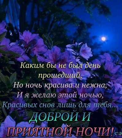 Пожелания спокойной ночи в прозе (своими словами)