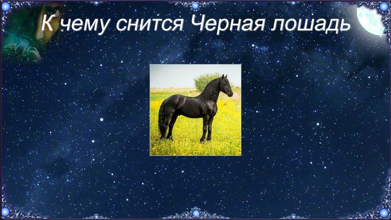 К чему снится ловить рыбу? что значит ловить рыбу во сне?