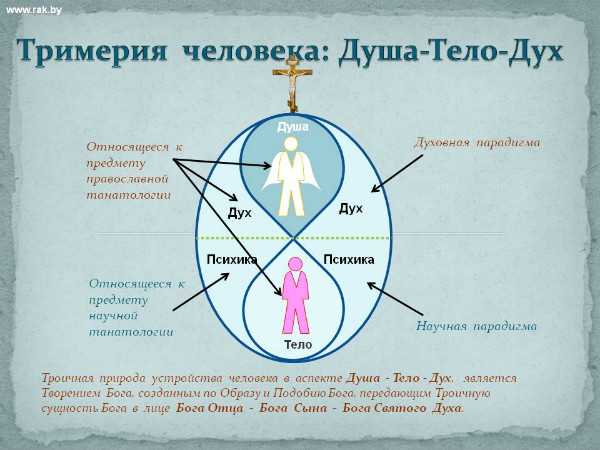 Валерия кольцова (все истории, увиденные во снах)