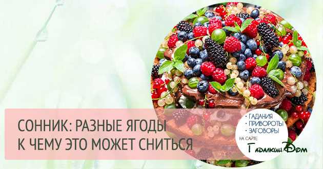ᐉ есть черные ягоды во сне сонник - x-sonnik.ru