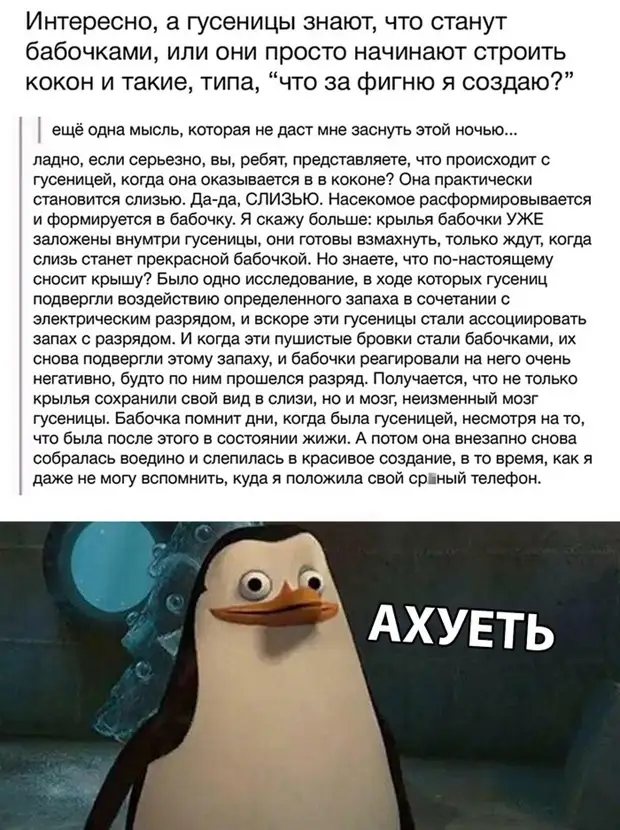 Как найти потерянную вещь, советы экстрасенса