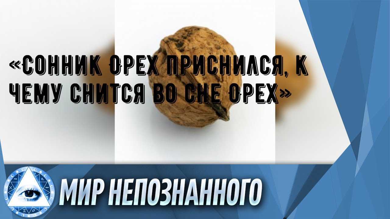 К чему снятся грецкие орехи – сонник энигма