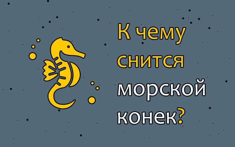 К чему снятся животные – сонник