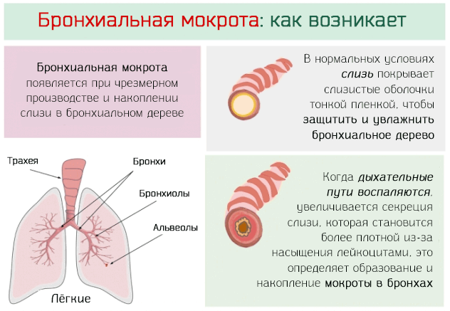 Текут слюни во сне