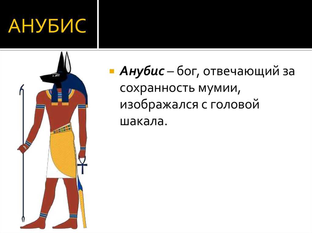 Магия чисел. приснился анубис во сне к чему снится бог анубис