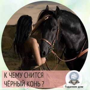 К чему снится конь. сонники про коня во сне женщины