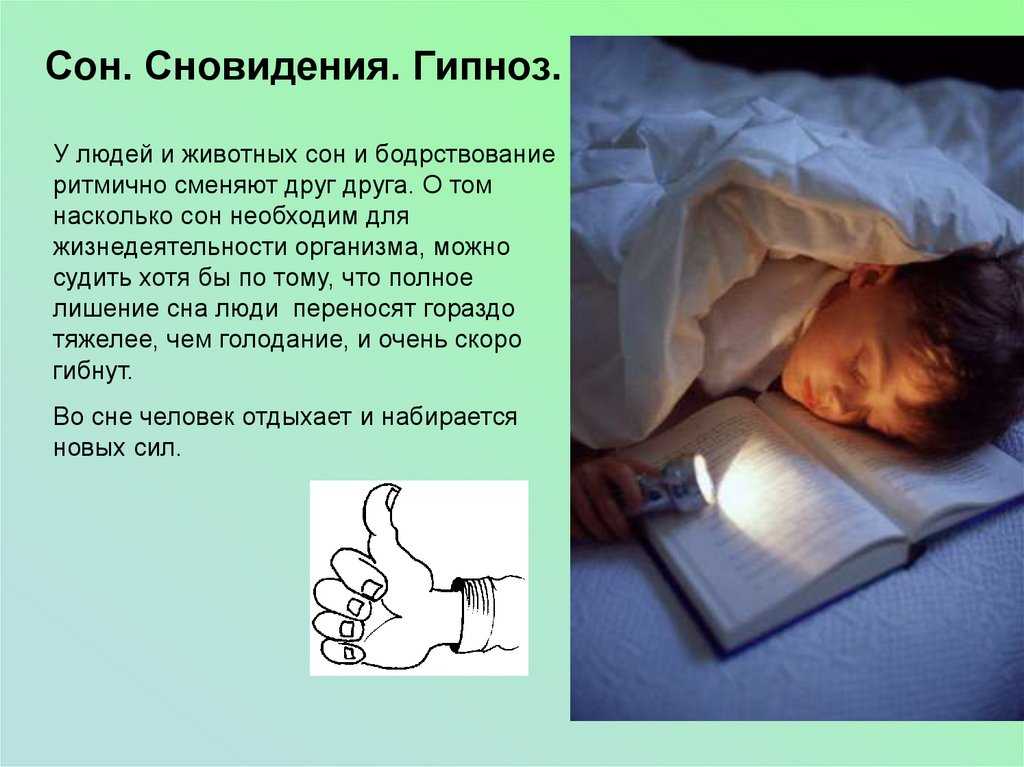 Шесть способов сделать так, чтобы сон сбылся. как сделать чтобы приснился сон который хочешь