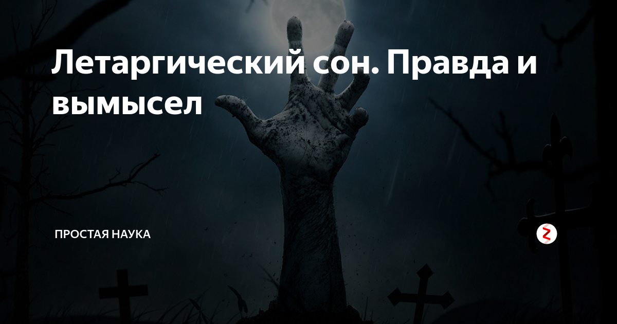 Заснула в 34 года, проснулась в 54: как и почему надежда лебедина из ссср проспала 20 лет