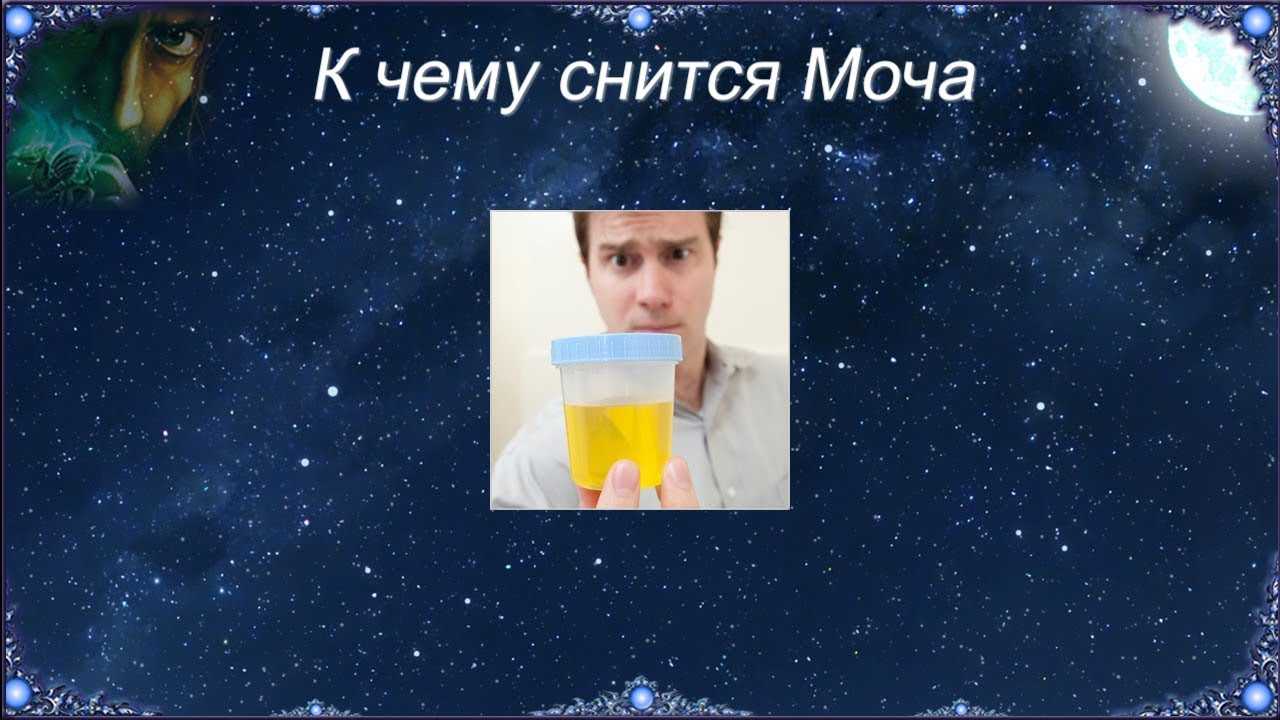 Сон, с котором фигурировала кошачья моча, пророчит поражение в конкурентной борьбе По вине доверчивости, предсказуемости или невнимательности из ваших рук