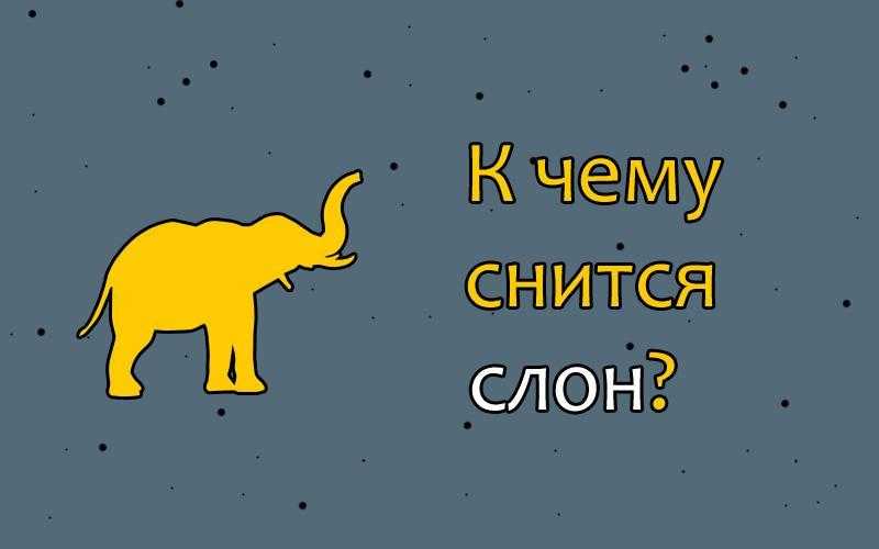 Сонник слон к чему снится во сне? видеть слона что означает?