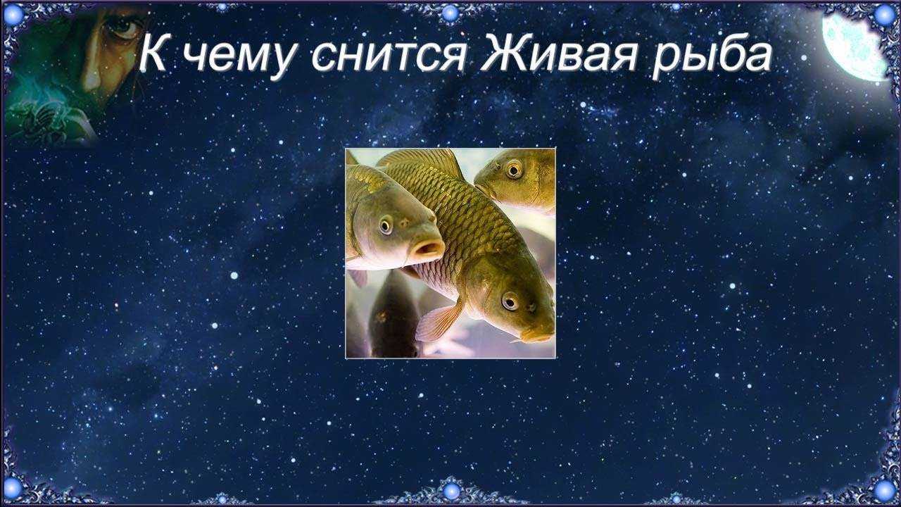 Кормить ребенка грудью во сне