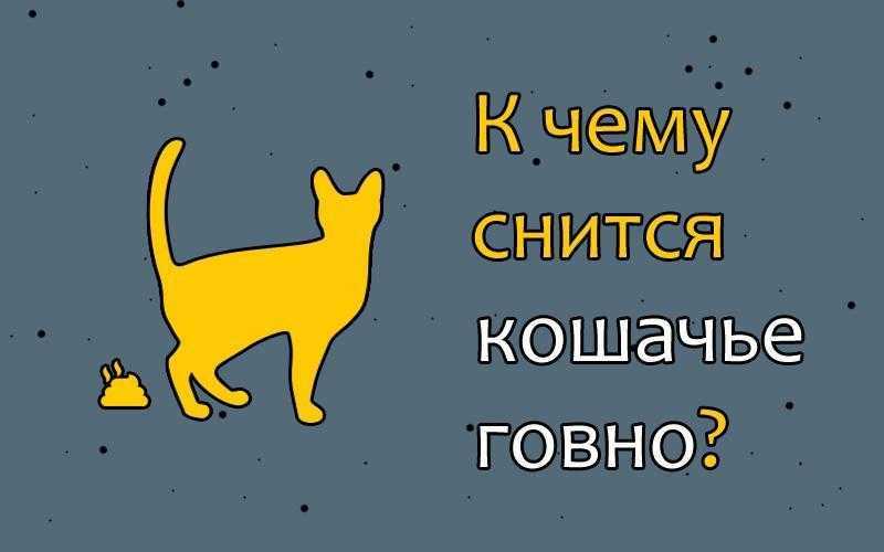 К чему снится говно?  толкование по 30 сонникам