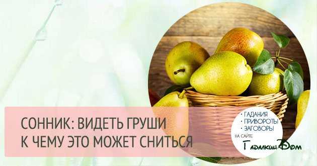 Сонник груша к чему снится во сне? видеть грушу что означает?