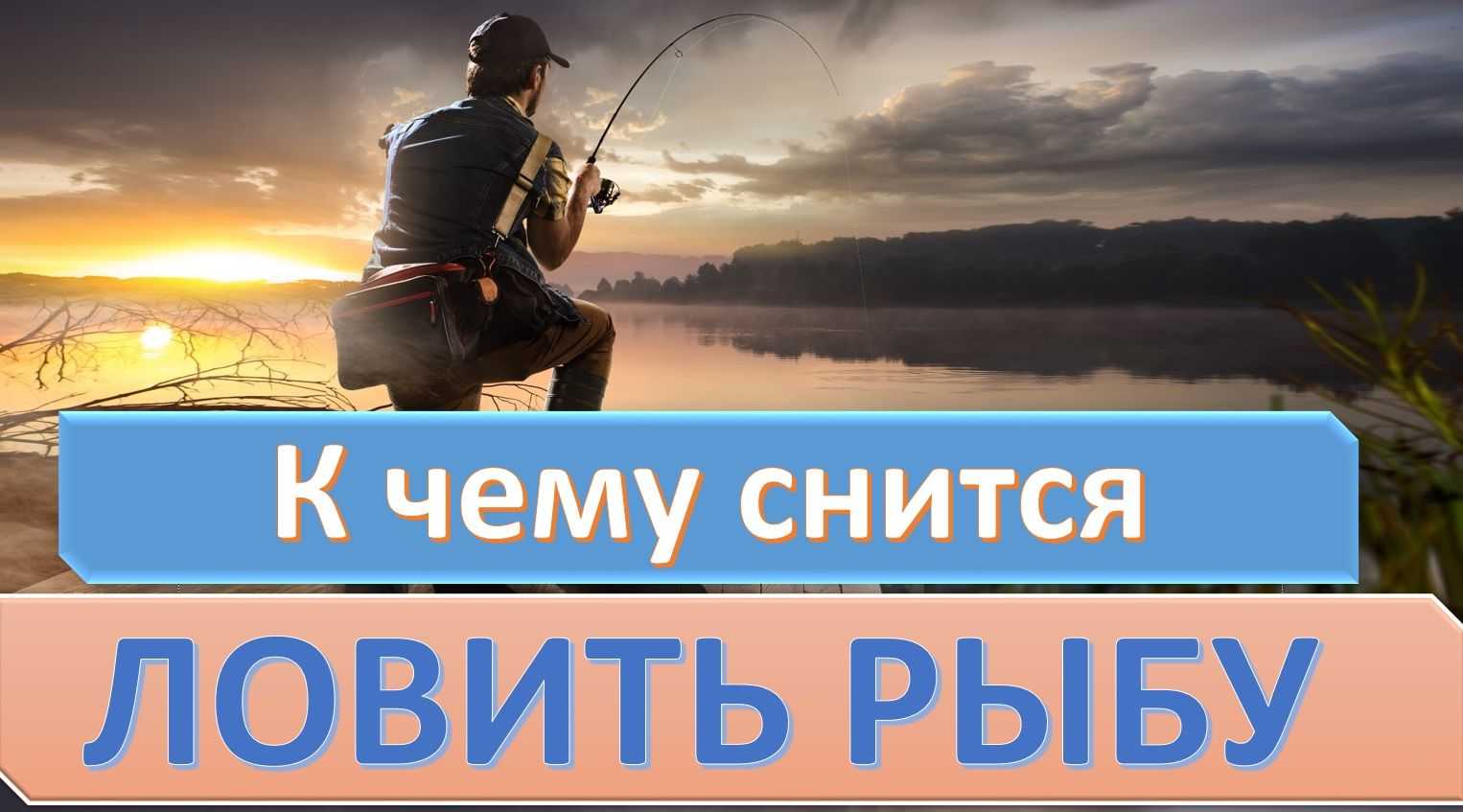 К чему снится муж собирается на рыбалку. сонник ловить рыбу, к чему снится ловить рыбу женщине на удочку или руками. к чему снится рыбалка мужчине, девушке, женщине