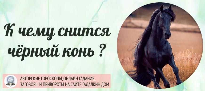 Это предзнаменование носит крайне неоднозначный характер Появление в ночном видении человека такого гордого и прекрасного животного обычно связывается со