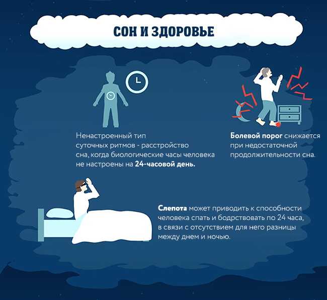 К чему снится много живых тараканов: толкование сна про насекомых, значение по современным сонникам