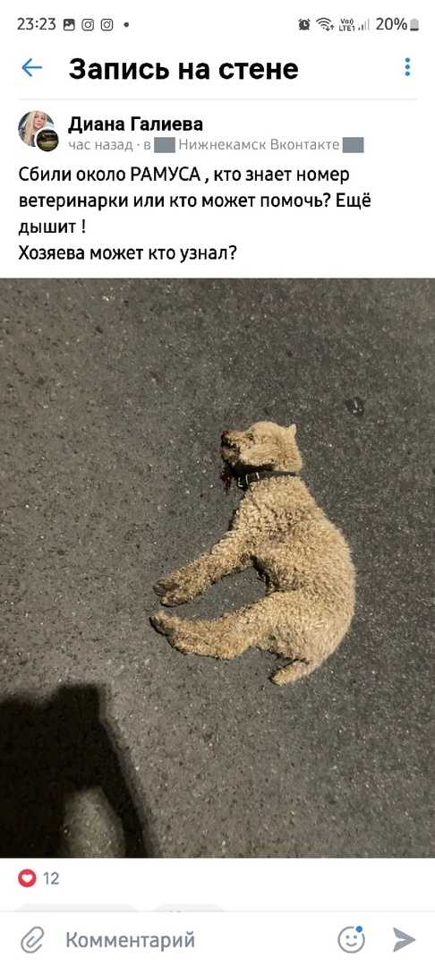 Готовьтесь к худшему
