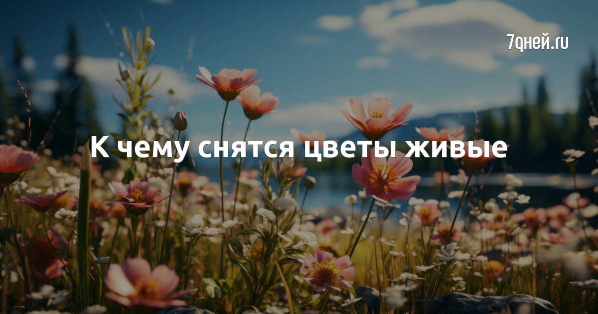 К чему снятся цветы