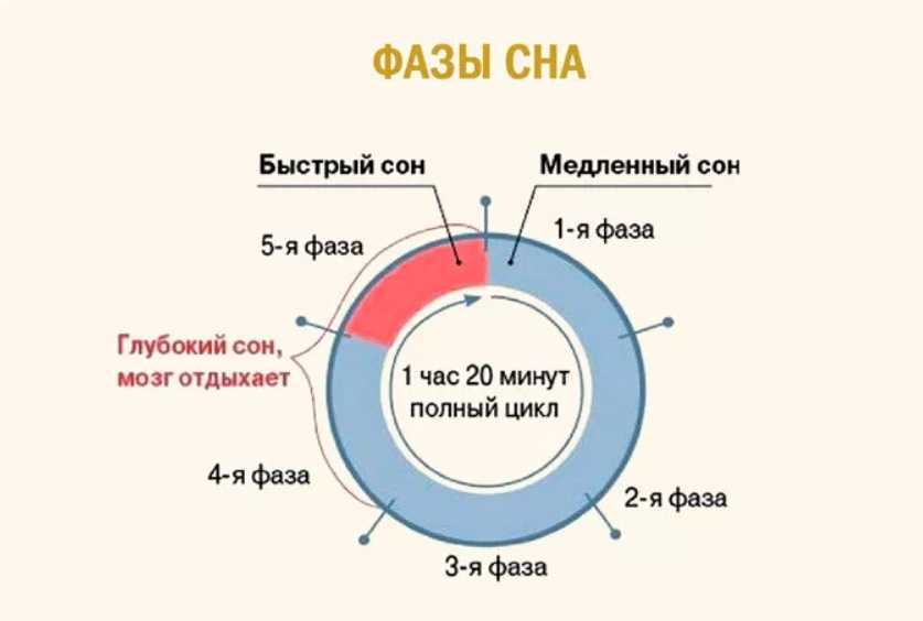 Почему мы видим сны: как возникает сновидение