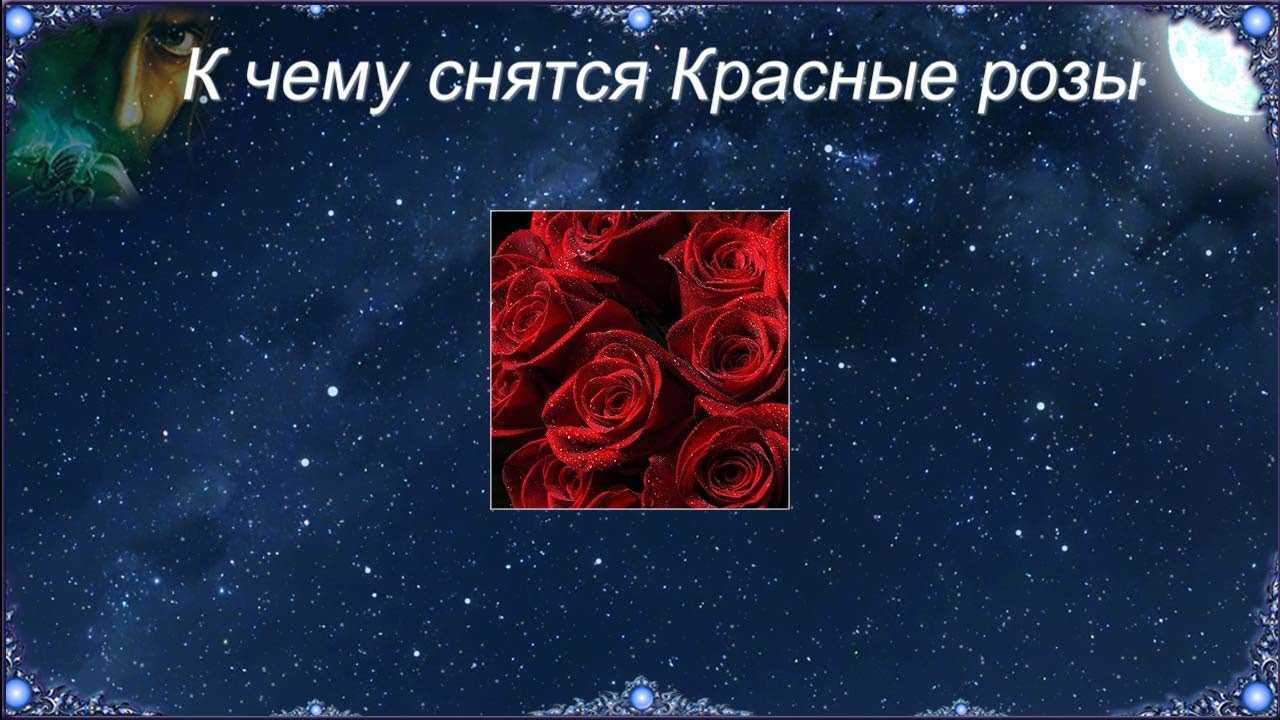 Видеть белые розы во сне - сонник, что означают, женщине, мужчине