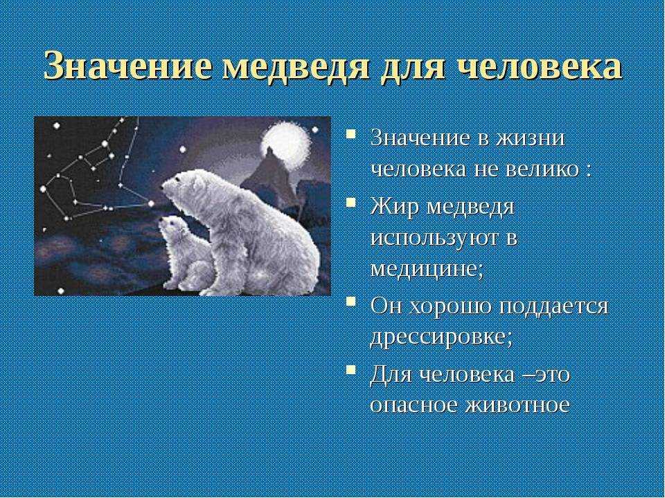 К чему снятся медведи: большая белая, бурая медведица и медвежонок во сне женщины или мужчины, толкование по соннику