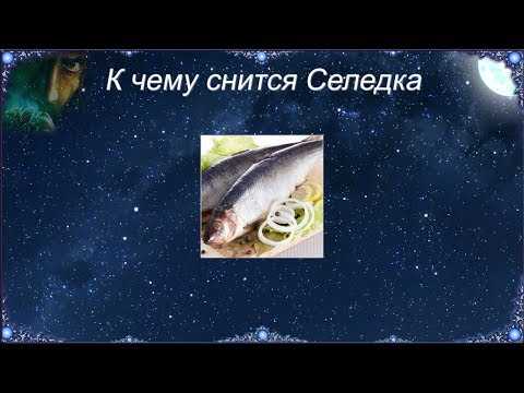 Соленая рыба во сне – к слезам или к деньгам