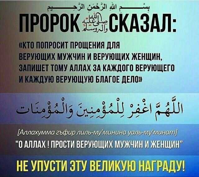 Исламский сонник: толкование снов по сунне и священному корану