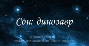 К чему снится таракан – узнайте значение сна :: инфониак