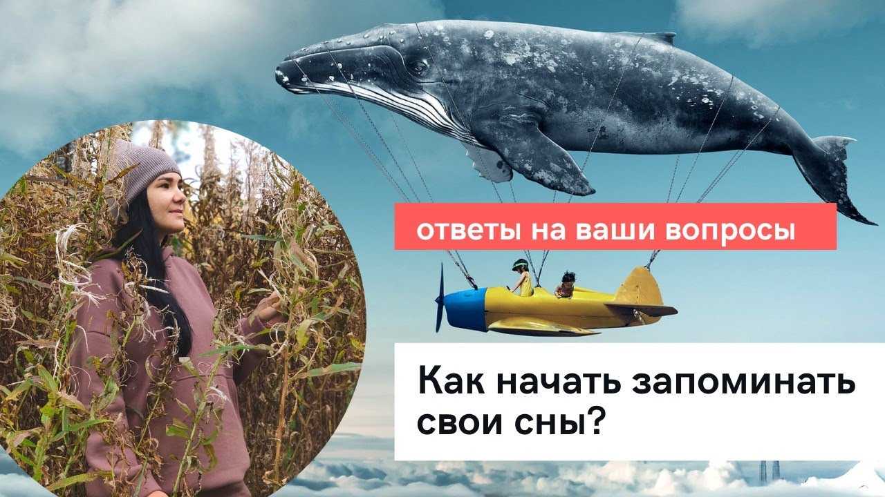 Как запоминать сны - wikihow