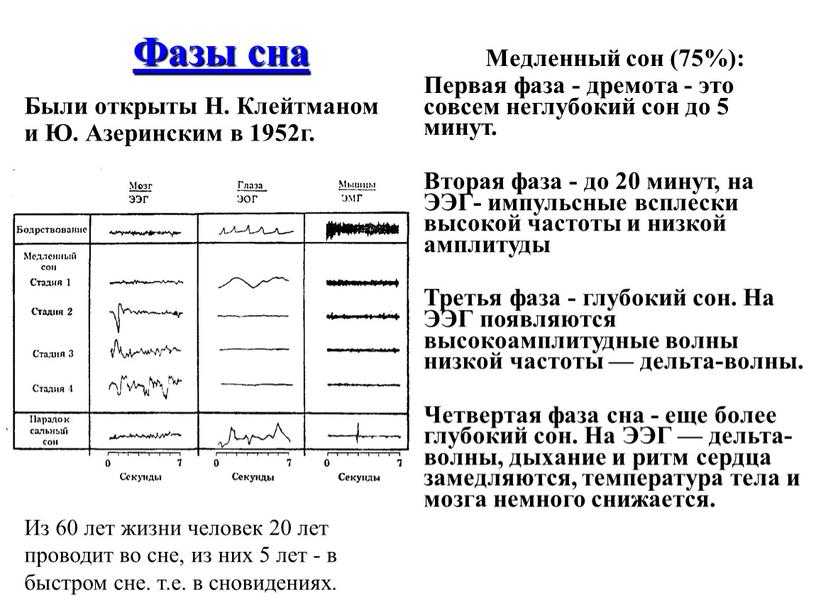 Как фазы сна влияют на здоровье человека и в чем секрет хорошего сна