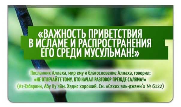 Суры для намаза для начинающих