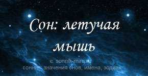 К чему снятся маленькие мыши: толкование сна