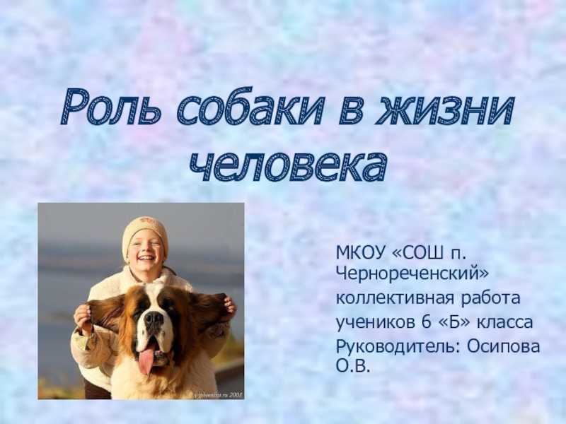 К чему снится щенок: значение и толкование сновидения, что предвещает - tolksnov.ru