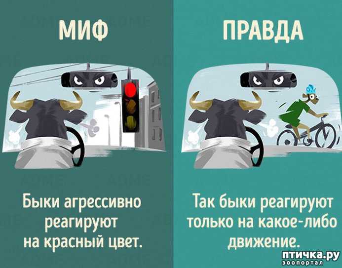 Вспомнить прошлую жизнь самостоятельно. 4 эффективных способа!