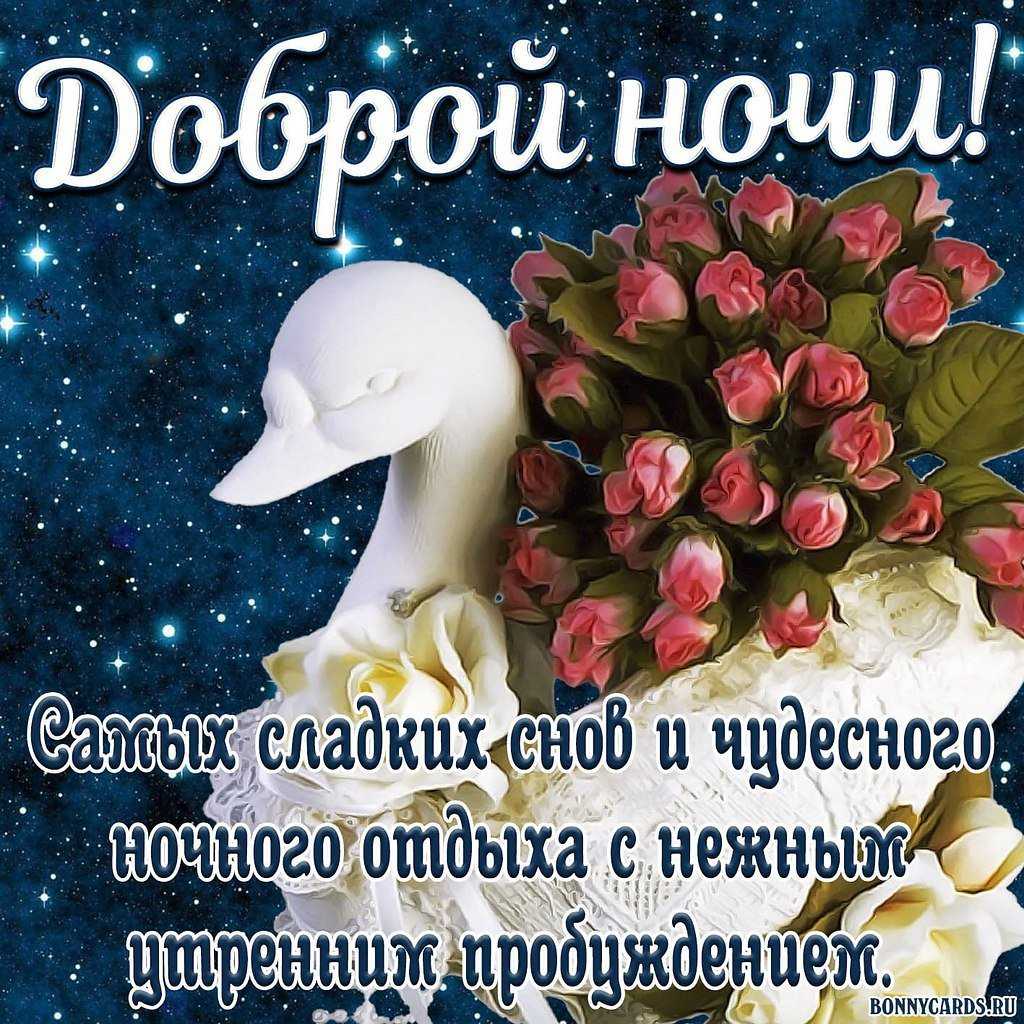 Добрый ночи или доброй ночи с котятами » собачки и кошечки