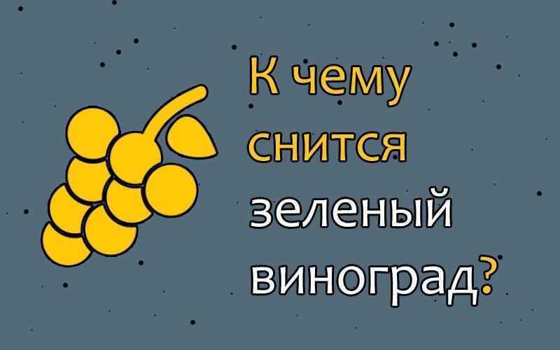 ᐉ видеть во сне черный виноград сонник - x-sonnik.ru