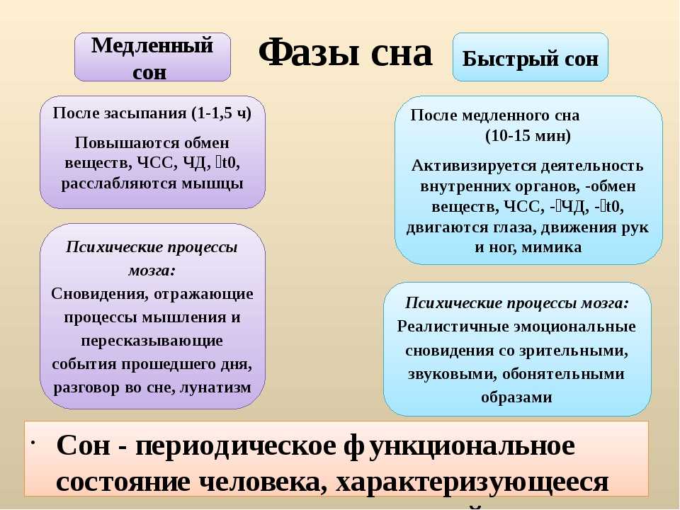 Рекорд гиннеса: самый длительный сон в истории