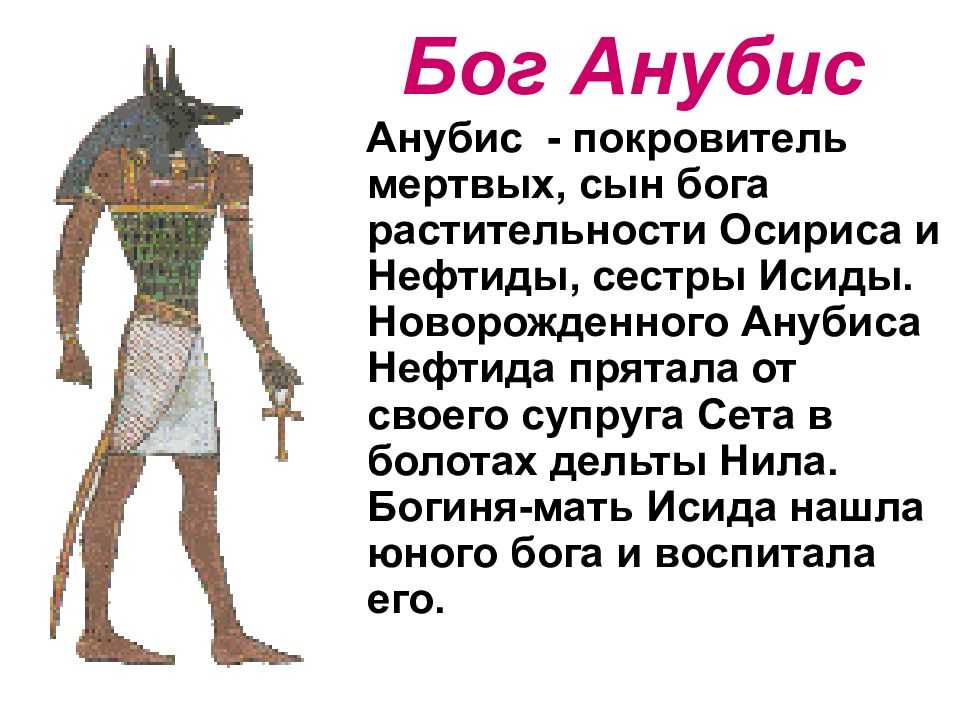 Что означает, если во сне появился анубис?