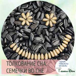 К чему снятся семечки - иолкование сновидения