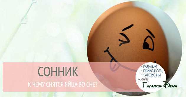 К чему снится много куриных яиц: девушке, женщине, беременной, мужчине – толкование по разным сонникам