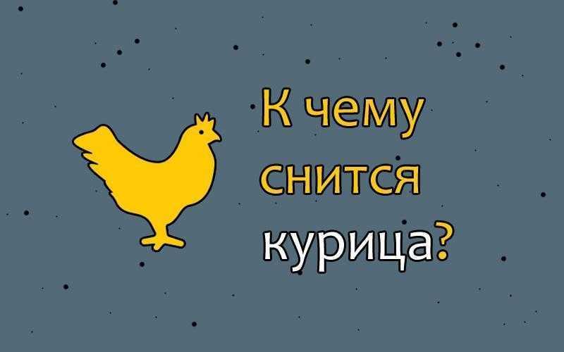 К чему может сниться курица — варианты снов и особенности толкований