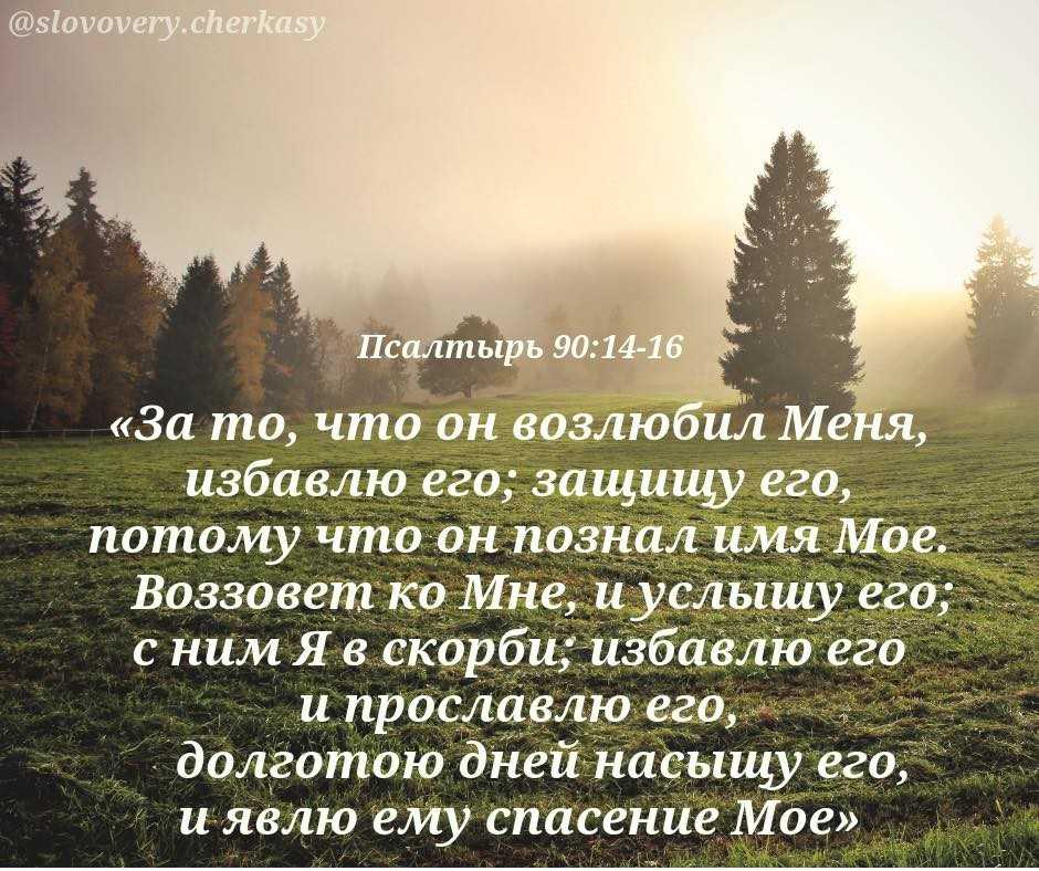 К чему снится война с немцами 👷 — 26 подробных толкований ❗ по популярным сонникам: что означает для мужчины или женщины штурмовать во сне рейхстаг и убивать фашистов